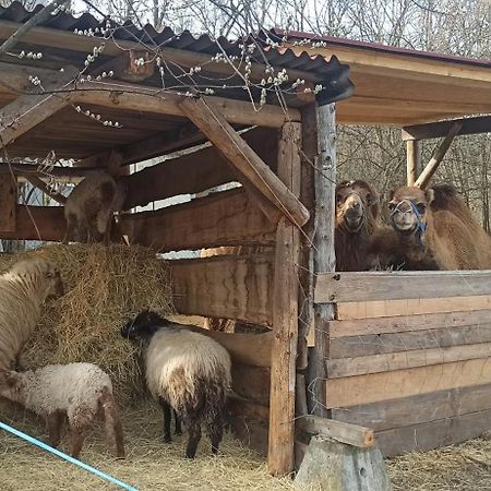 Apartman U Kocky Blansko Dış mekan fotoğraf