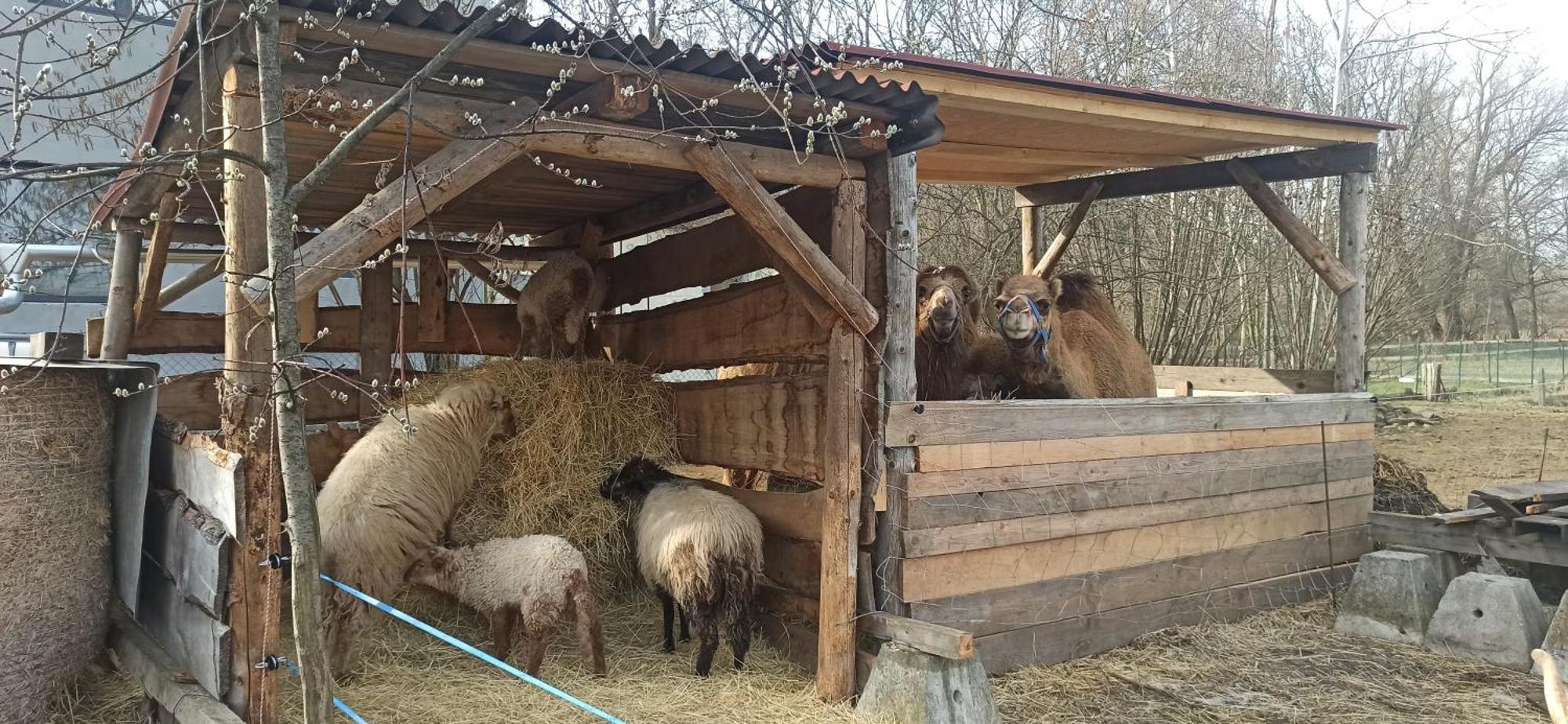 Apartman U Kocky Blansko Dış mekan fotoğraf