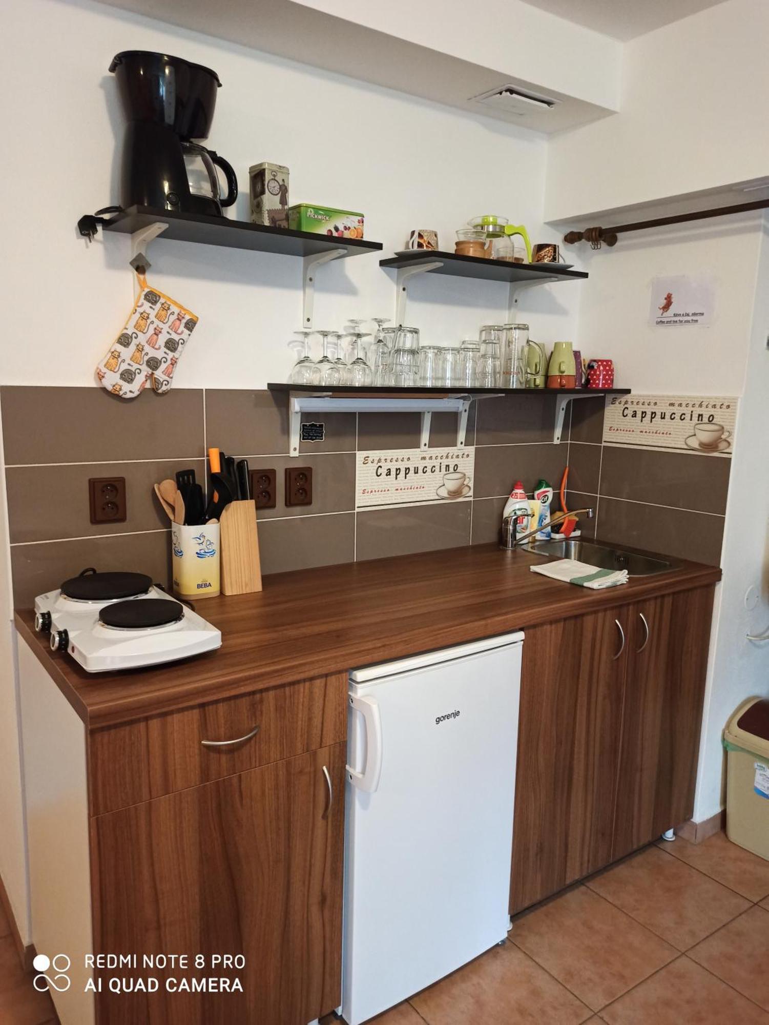 Apartman U Kocky Blansko Oda fotoğraf
