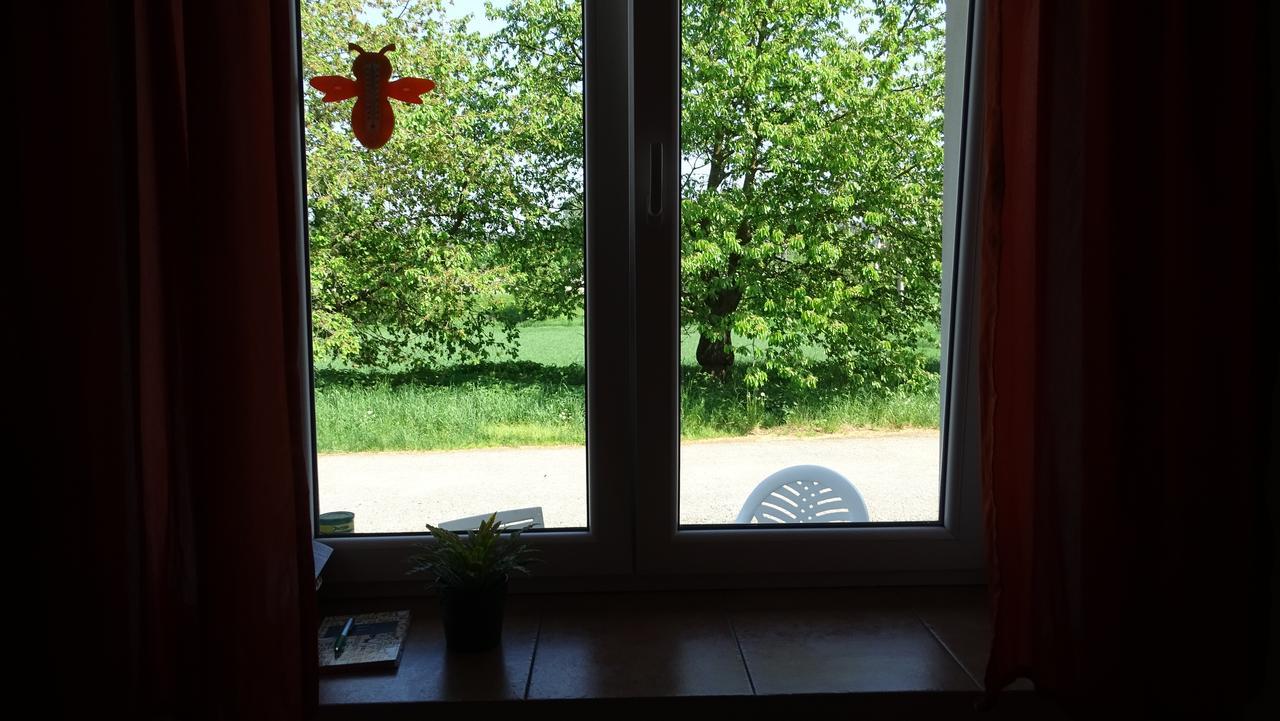 Apartman U Kocky Blansko Dış mekan fotoğraf